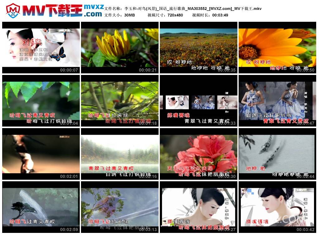 李玉和-对鸟(风景)_国语_流行歌曲_MA303552